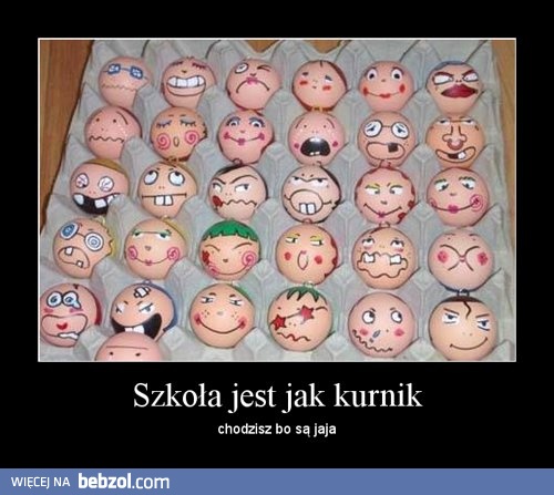 Szkoła jest jak kurnik