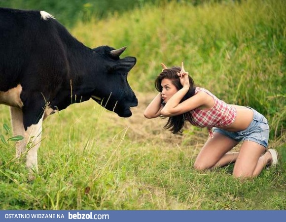 Walcząca z bykami