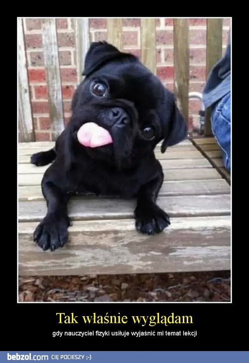 Tak właśnie wyglądam na fizyce