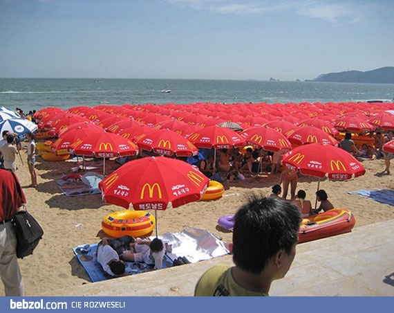 Zawsze myślałem, że na plażę idzie się opalać...