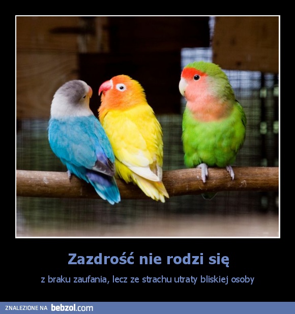 Zazdrość nie rodzi się