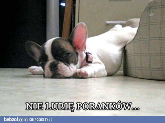 Nie lubię poranków...