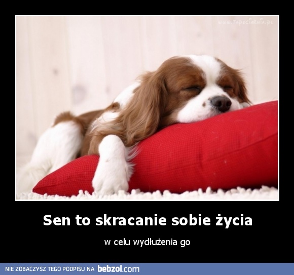 Sen to skracanie sobie życia