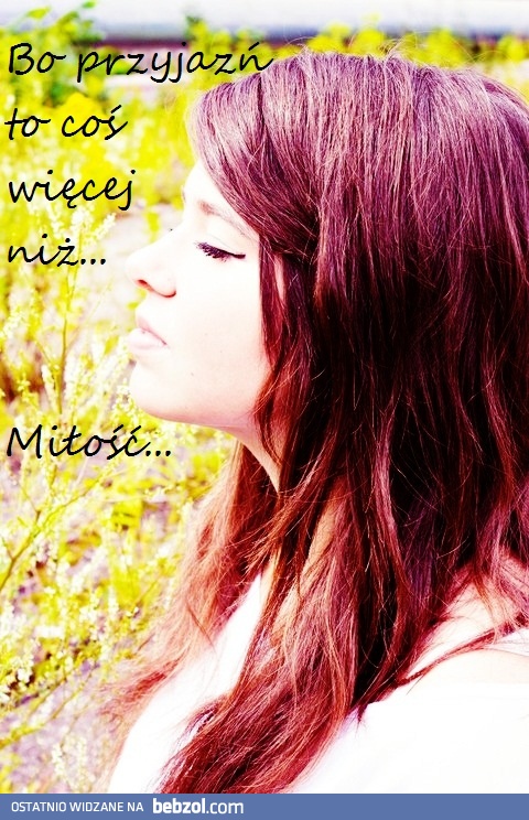 Przyjaźń to coś więcej