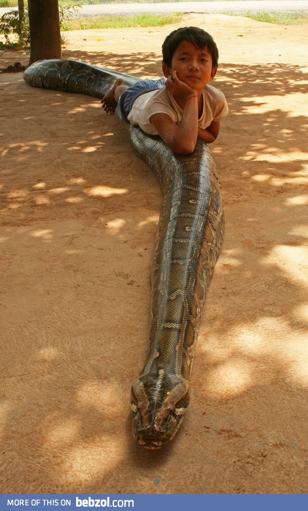All aboard the snake train...