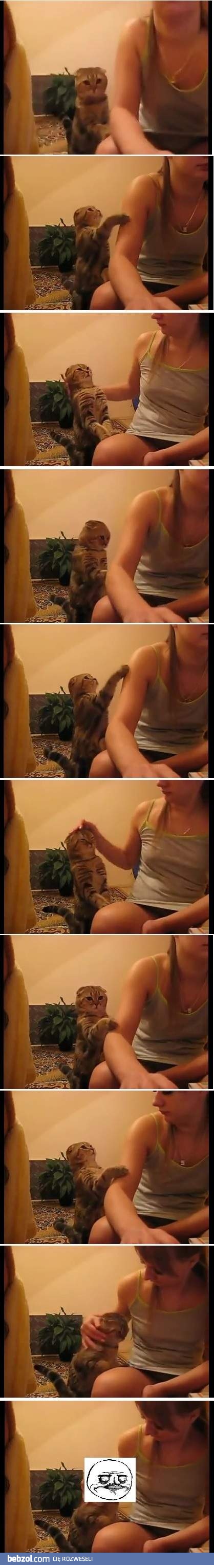 Kotek me gusta