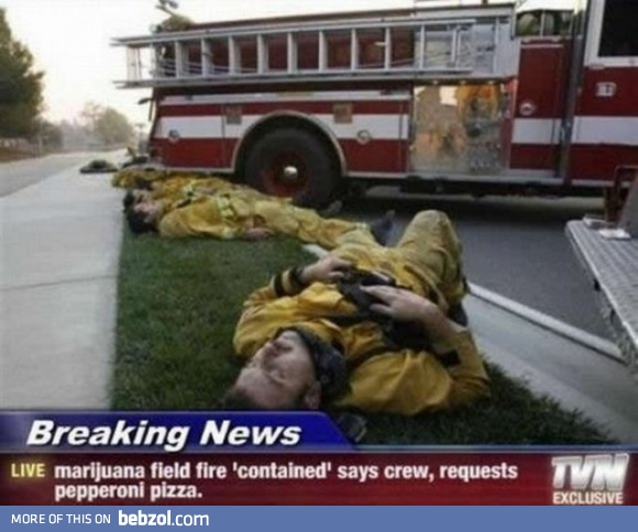 Quick, somebody help!
