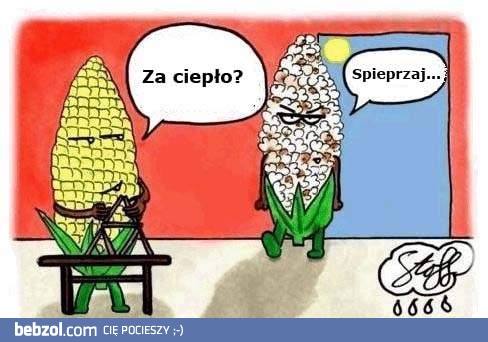 Kukurydziana sielanka