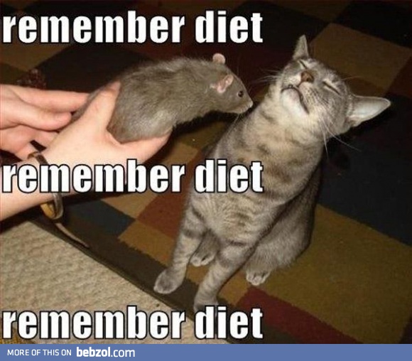 Remember diet