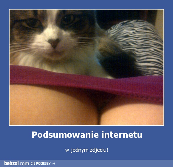 Podsumowanie internetu