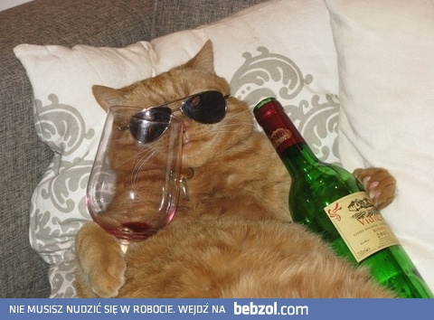 Weekendowy odpoczynek