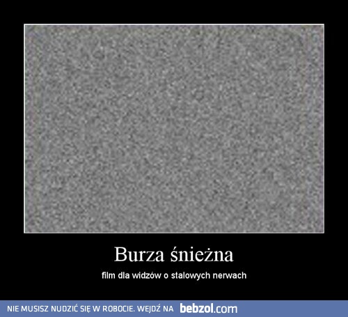 Burza śnieżna