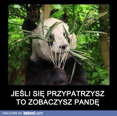 Przypatrz się a ujrzysz
