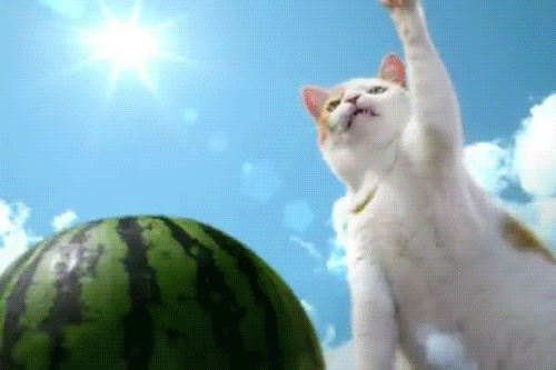 Ninja Fruits