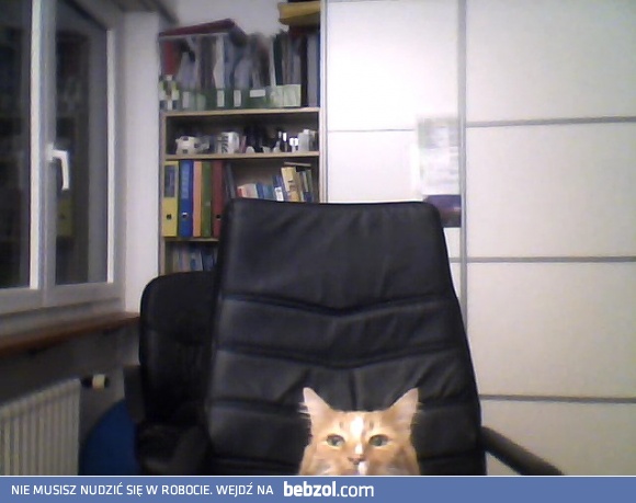 Kogo to nie poznasz na skypie