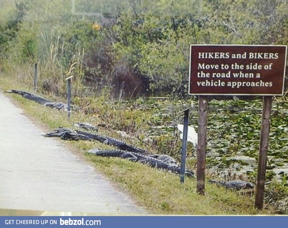 Nope!