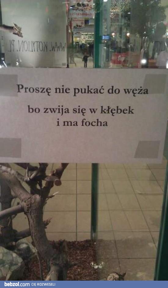 Nie pukać w zoologicznym