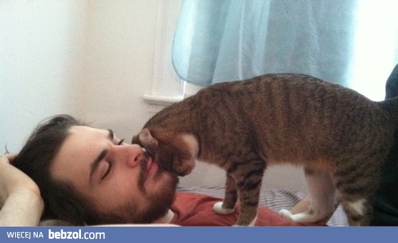 Sam się pogłaszczę jeżeli Ty nie chcesz...