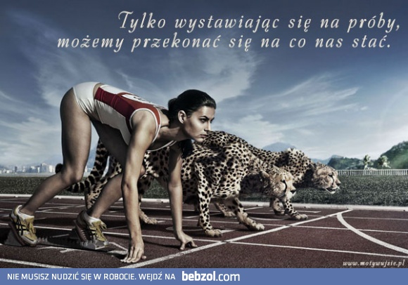 Trzeba podejmować próby