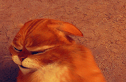 Powalające spojrzenie