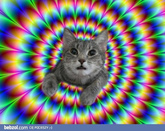 Nie mogę się napaczyć