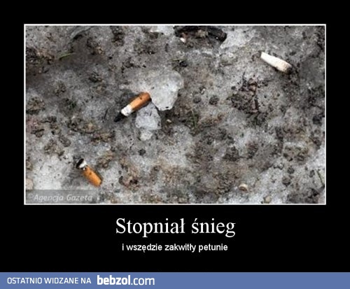 Stopniał śnieg