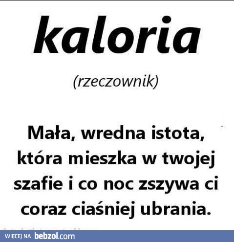 Kaloria