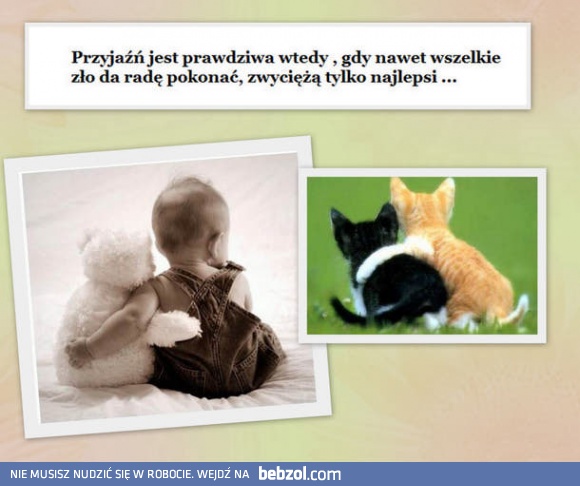 Przyjaźń jest prawdziwa wtedy...