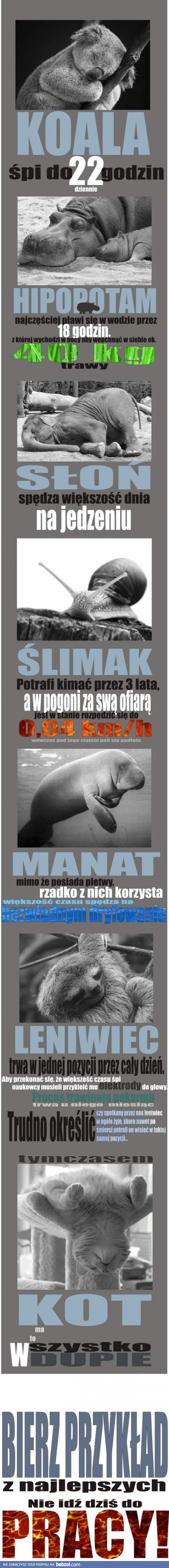 Nie idź dziś do pracy