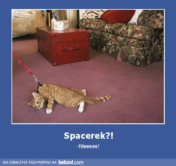Spacerek?!
