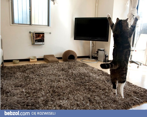 Witaj piękny świecie