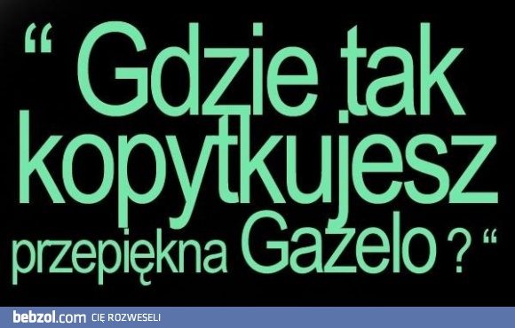 Najlepszy tekst na podryw