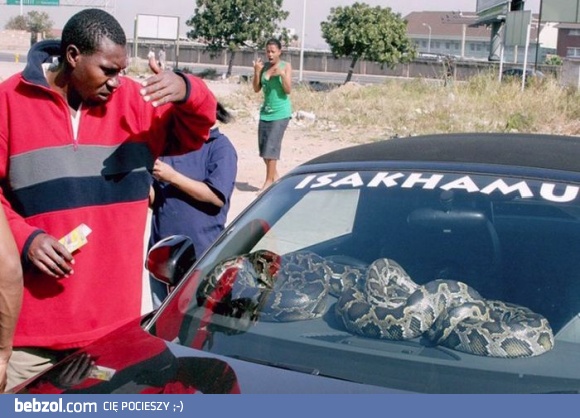 Po co komu autoalarm?