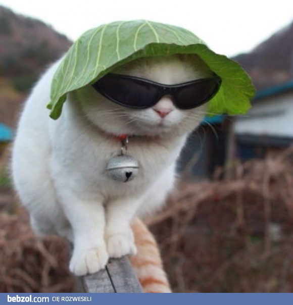 Ciii... Jestem tutaj incognito