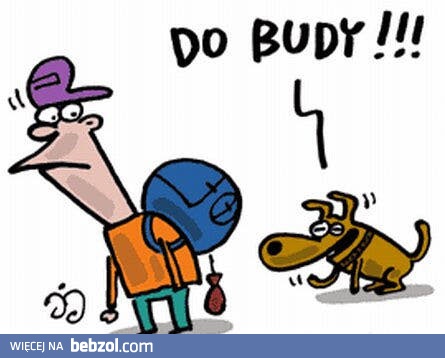 Do budy młody!