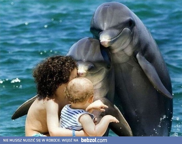 Pacz kochanie jakie słodkie ludzie