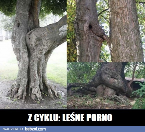 Leśne porno