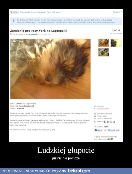 Ludzkiej głupocie