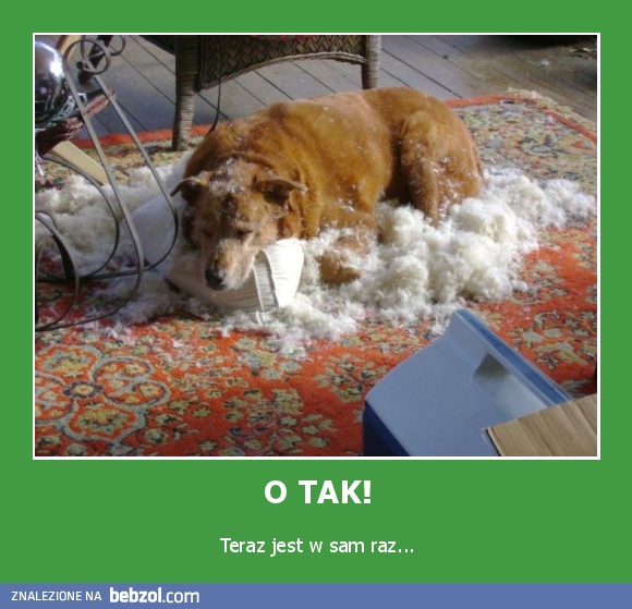 O TAK!