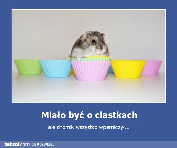 Miało być o ciastkach