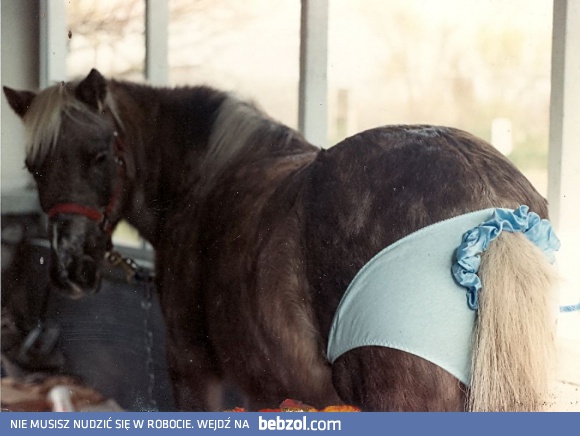 Nowa kolekcja Sarah Jessica Parker