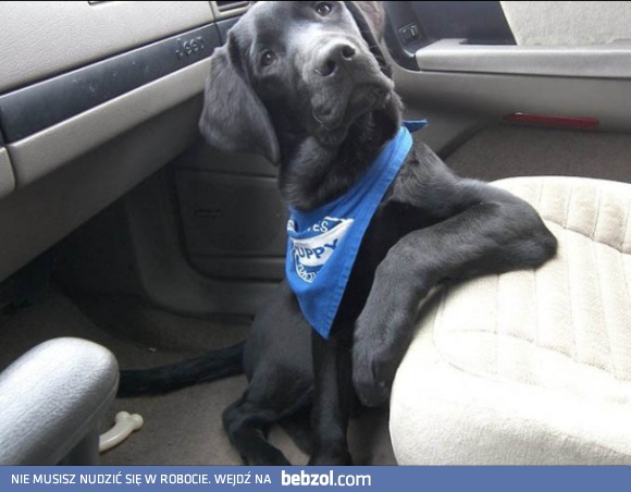 Urzekła mnie Twoja historia