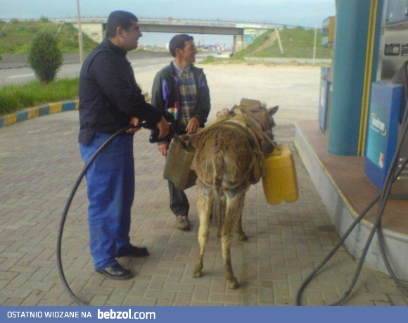 Tankujemy do pełna?