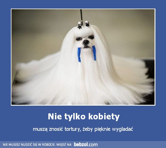 Nie tylko kobiety