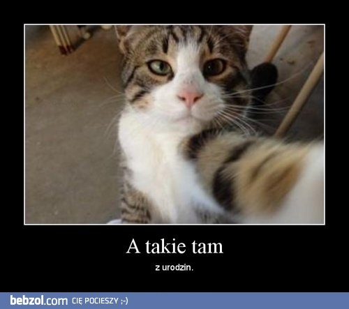 A takie tam