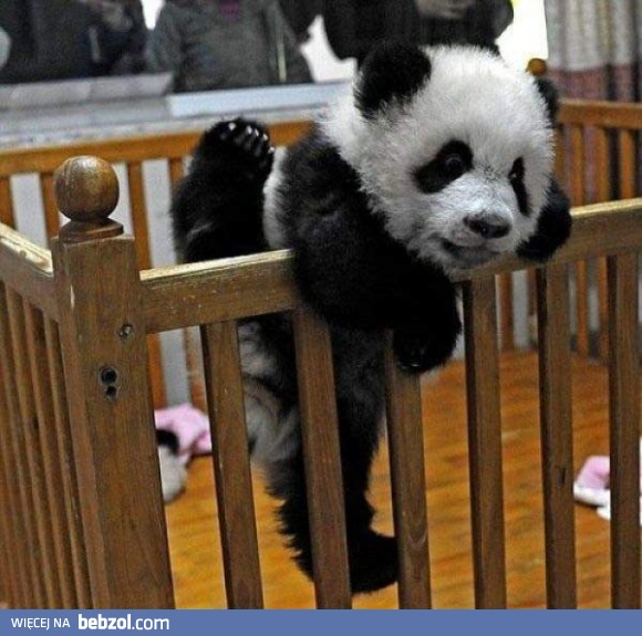 Zrywam się stąd...