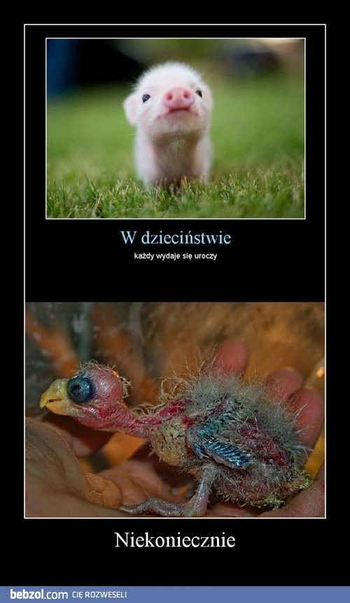 W dzieciństwie, każdy jest słodki (fix)