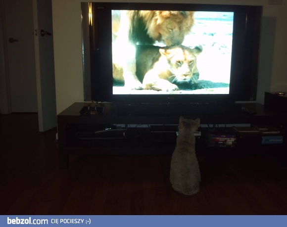 Trzeba uczyć się od najlepszych