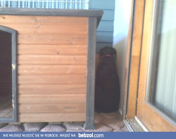 Ktoś ma chyba focha