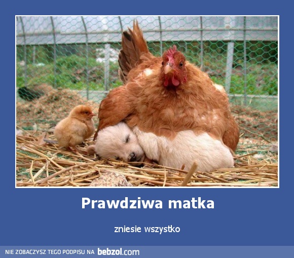 Prawdziwa matka